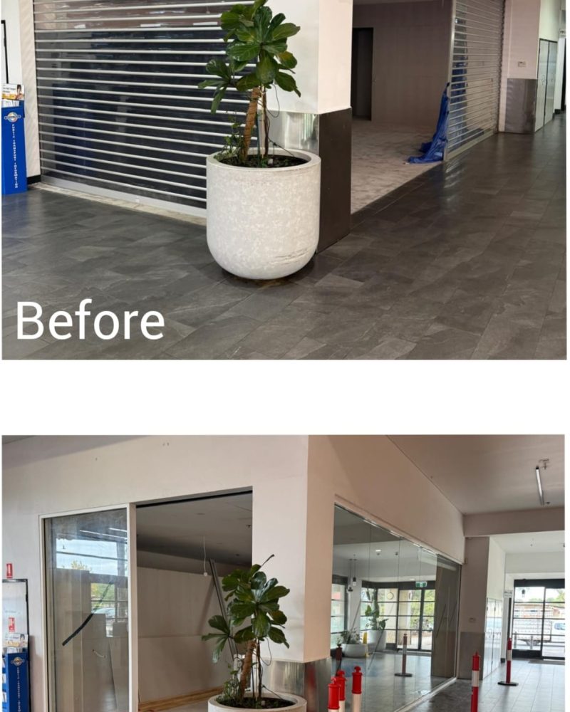 WhatsApp Image 2026-03-08 at 15.10.37